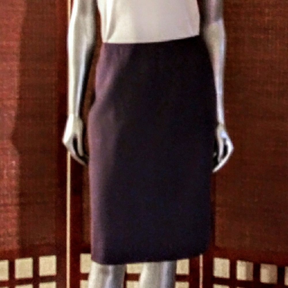 💥FINAL PRICE 3 for $25🛑Ellen Tracy Purple Skirt